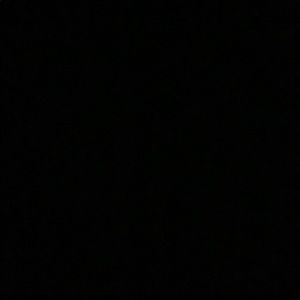 Meet your Posher, Daisy